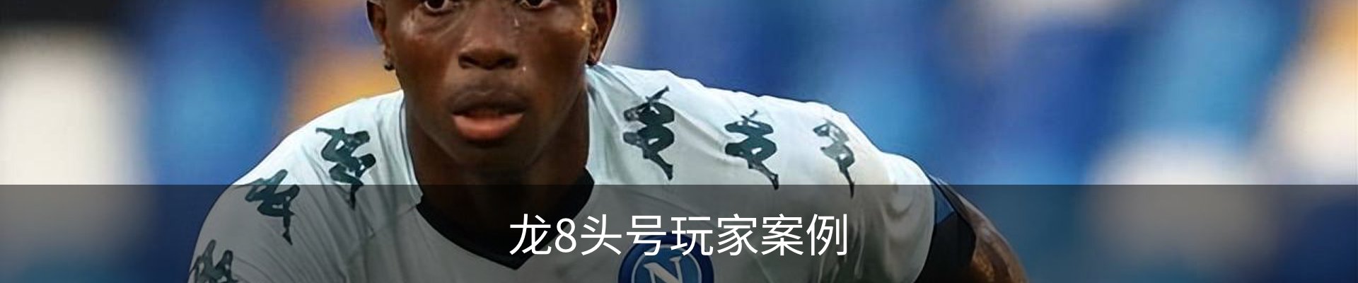 龙8头号玩家案例